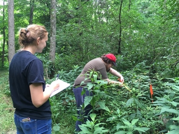 NKU undergraduates Allison Jones and Nathan Boyce at their Melbourne KY field site